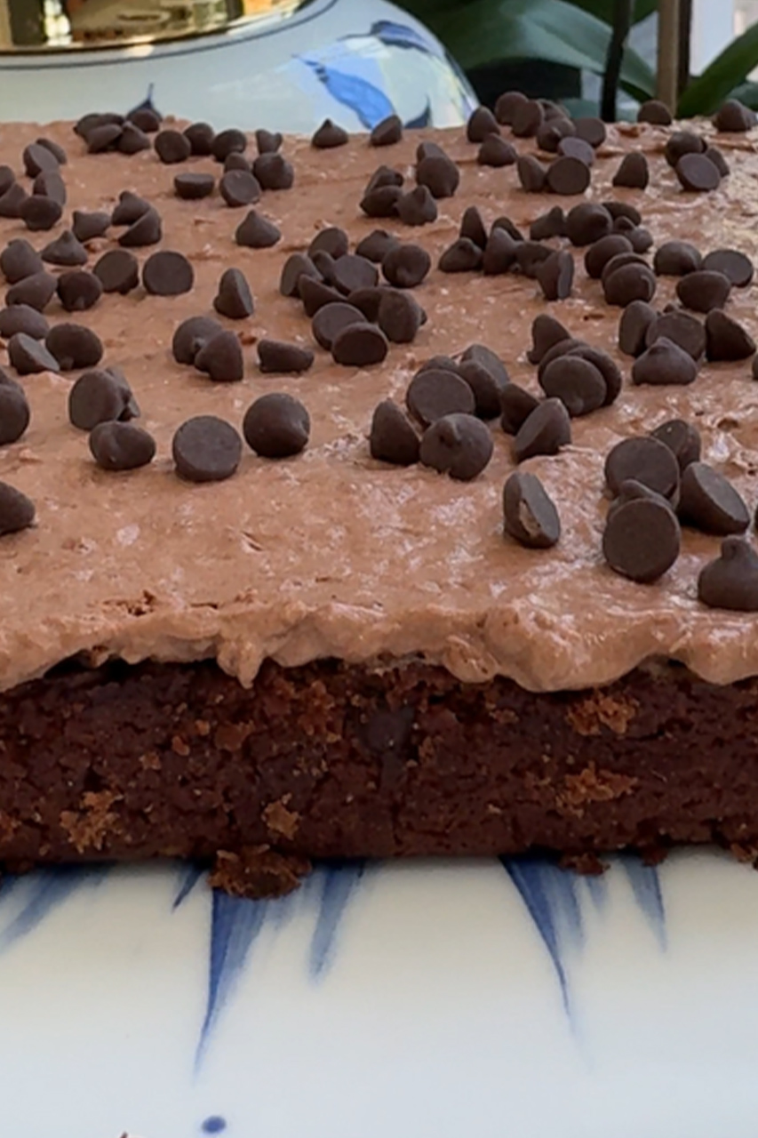 Chickpea Brownies